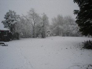 18 January day 1 of snowfall
